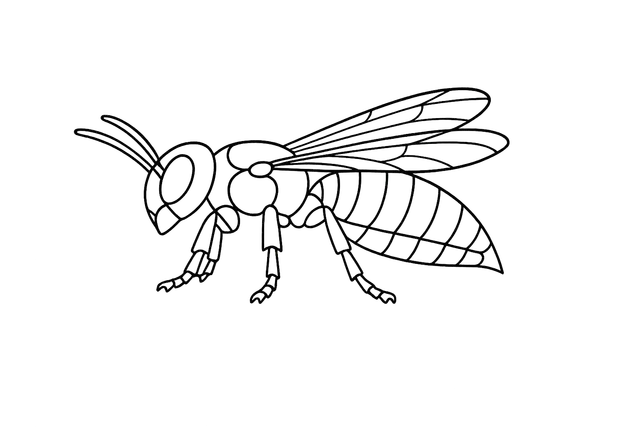 Wasp