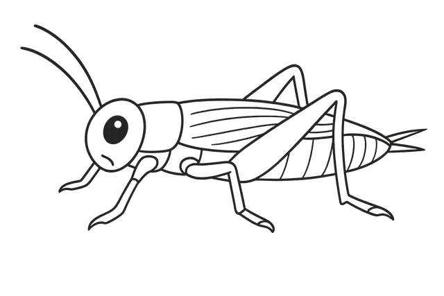 Grasshopper