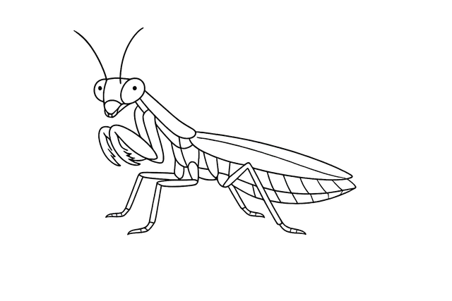 A Happy Mantis