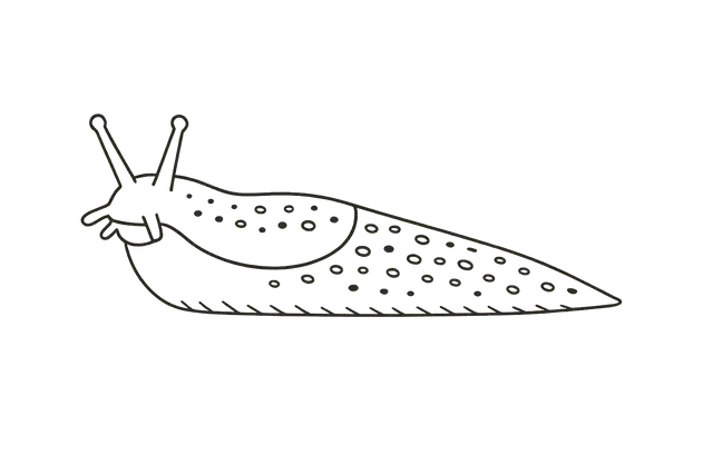 Slug