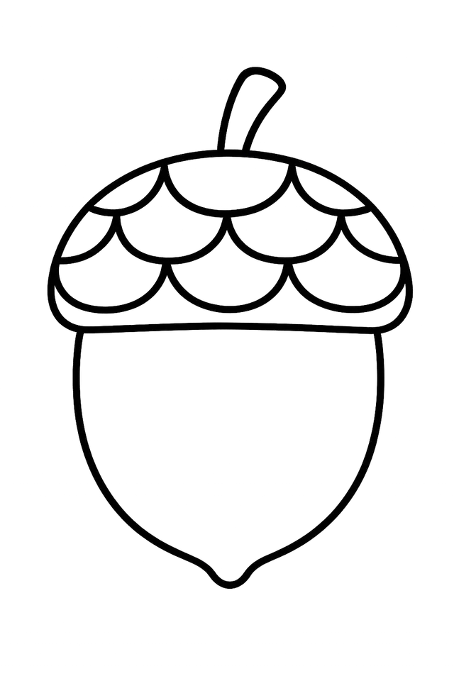 Acorn