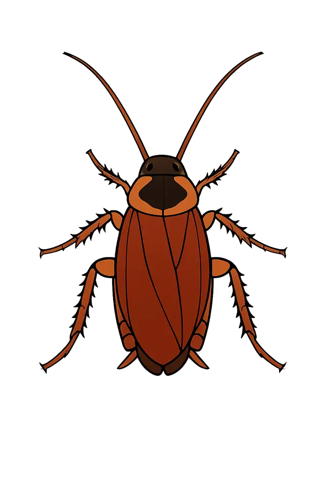 Cockroach