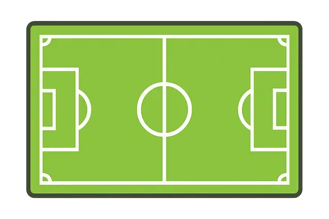 Soccer Field From Above