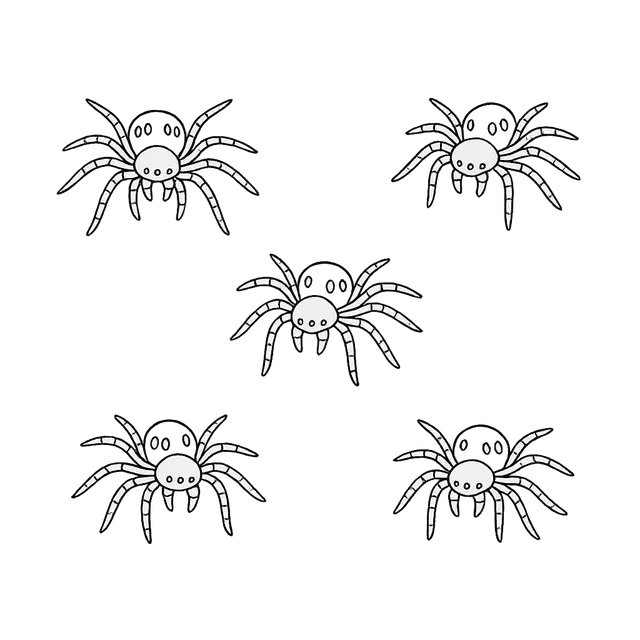 Five Spiders