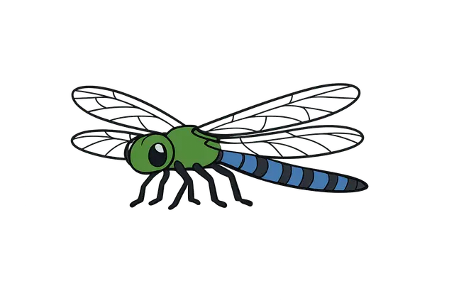 A Colorful Dragonfly