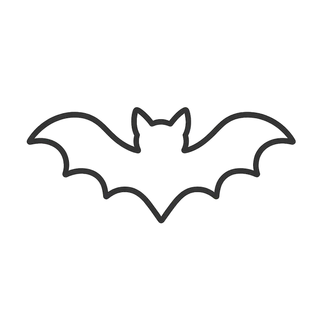 Bat Outline