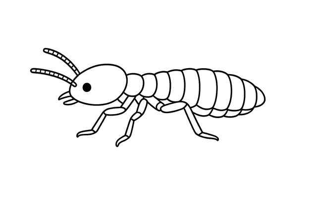 Termite