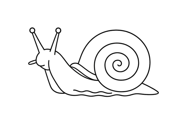 Snail