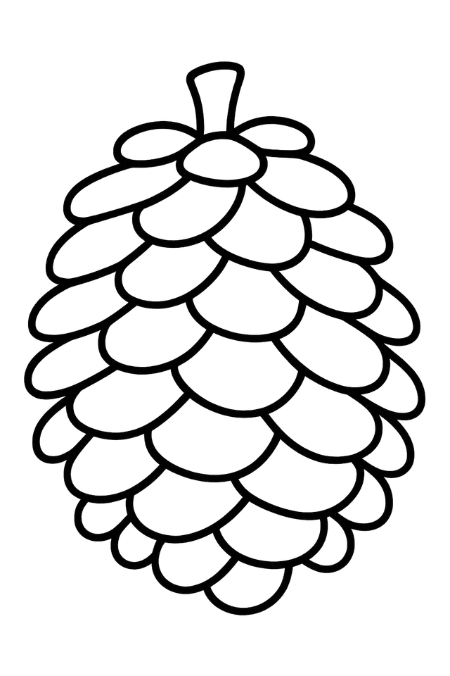 Pinecone with Curled Scales