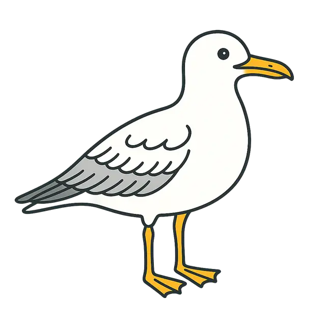 Seagull