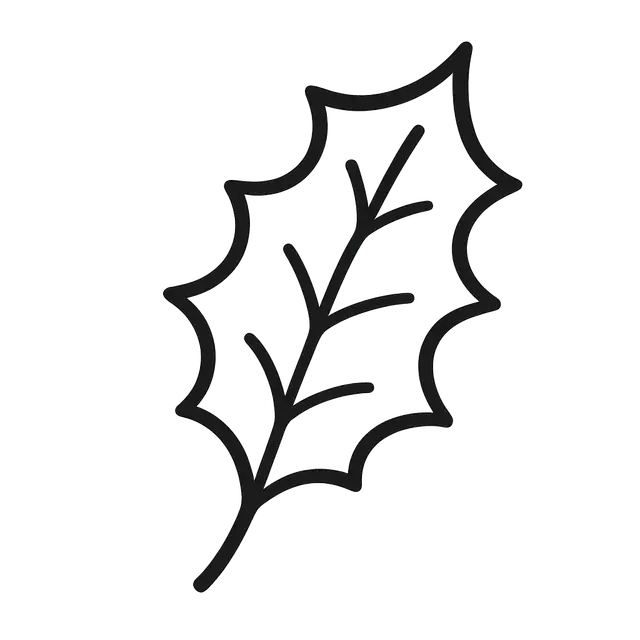 Simple Holly Leaf Coloring Outline