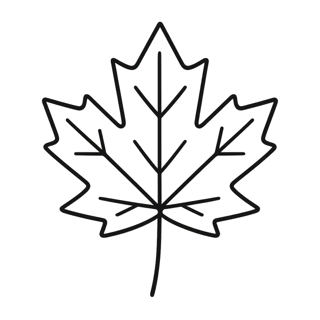 Simple Maple Leaf Coloring Illustration