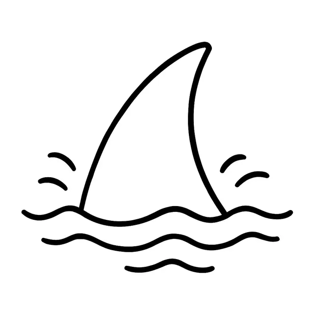 Shark Fin Above the Water