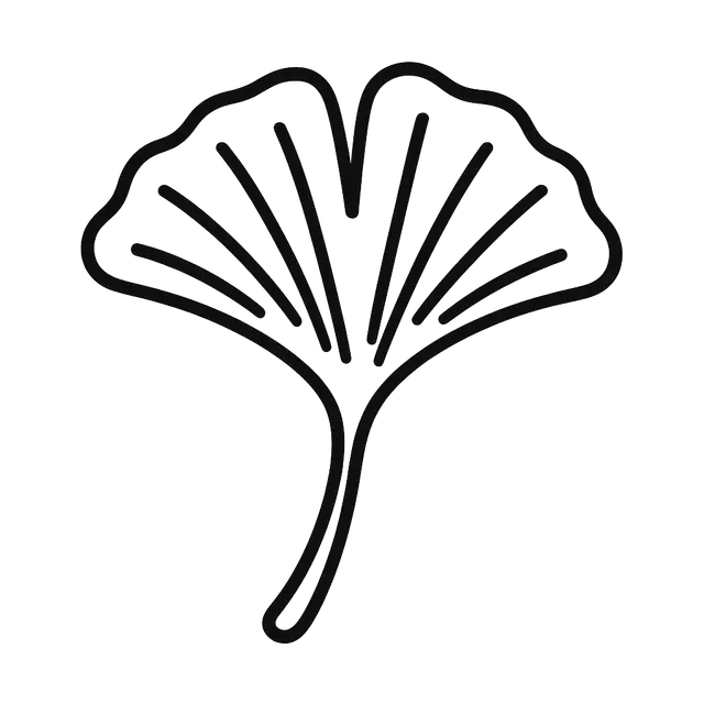 Ginkgo Leaf Outline Illustration