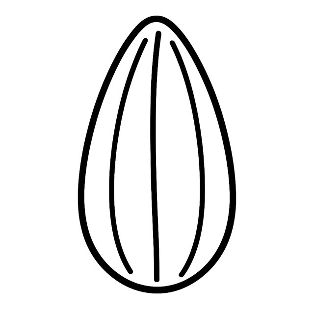 Seed