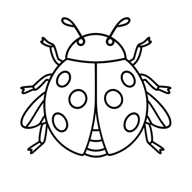 Ladybug