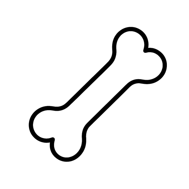Black Outline of a Bone