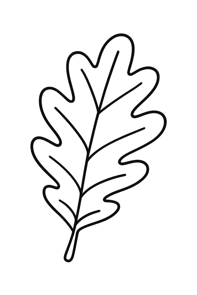 Simple Oak Leaf Coloring Illustration