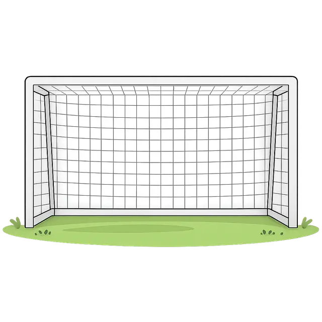 Soccer Net Goal