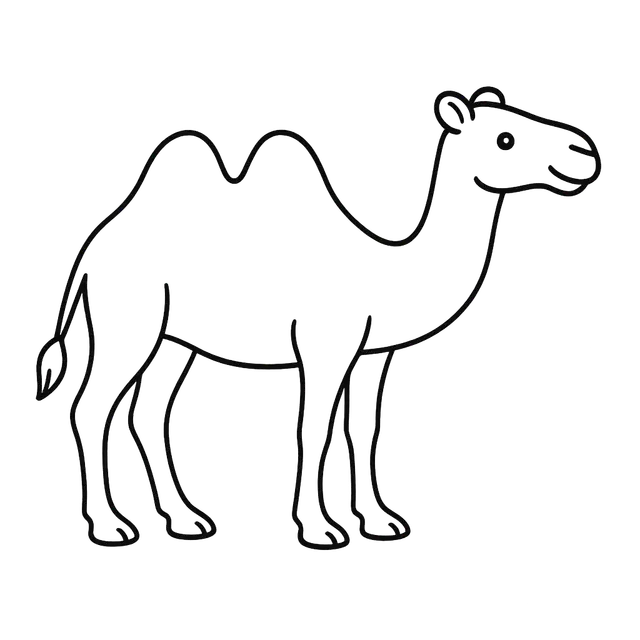 Camel