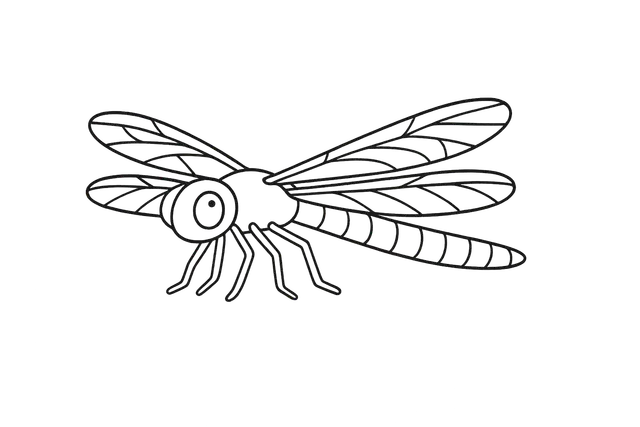 Dragonfly