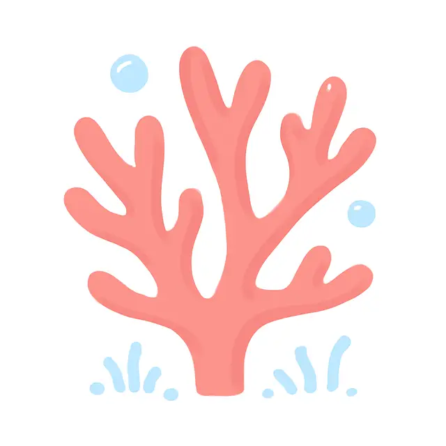 Cheerful Coral