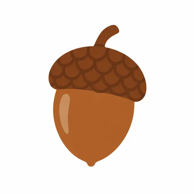 Brown Acorn Illustration