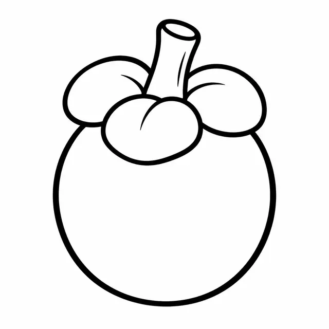Mangosteen Fruit Outline