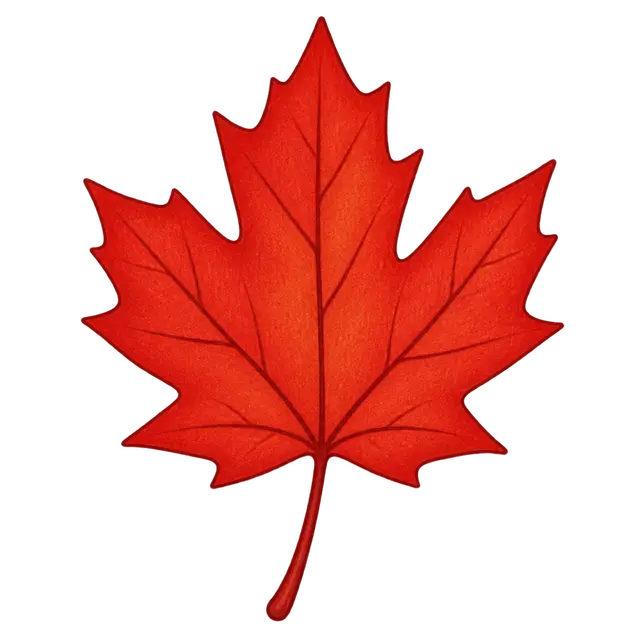 Red Maple Leaf Illustration
