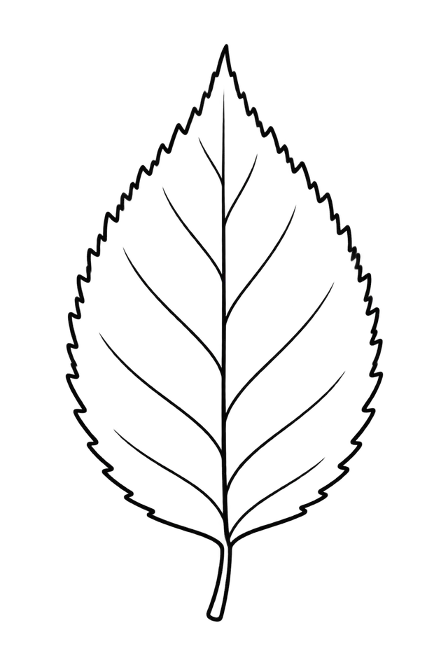 Birch Leaf Coloring Page