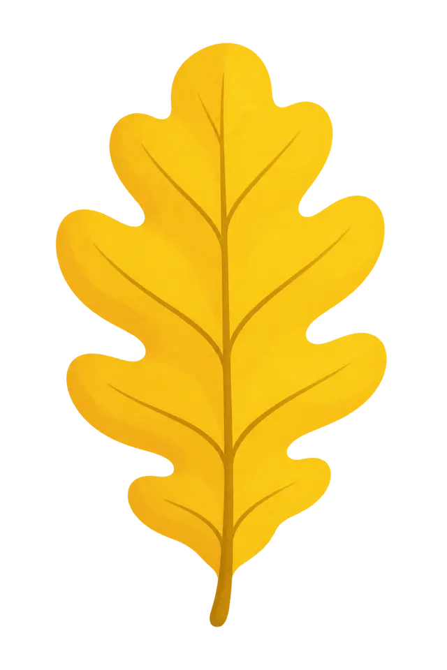 Golden Yellow Oak Leaf Illustration
