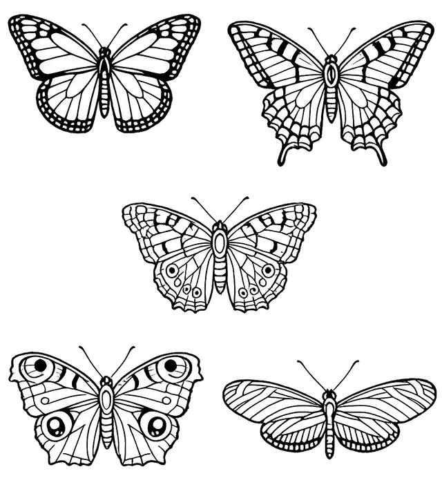 Butterflies