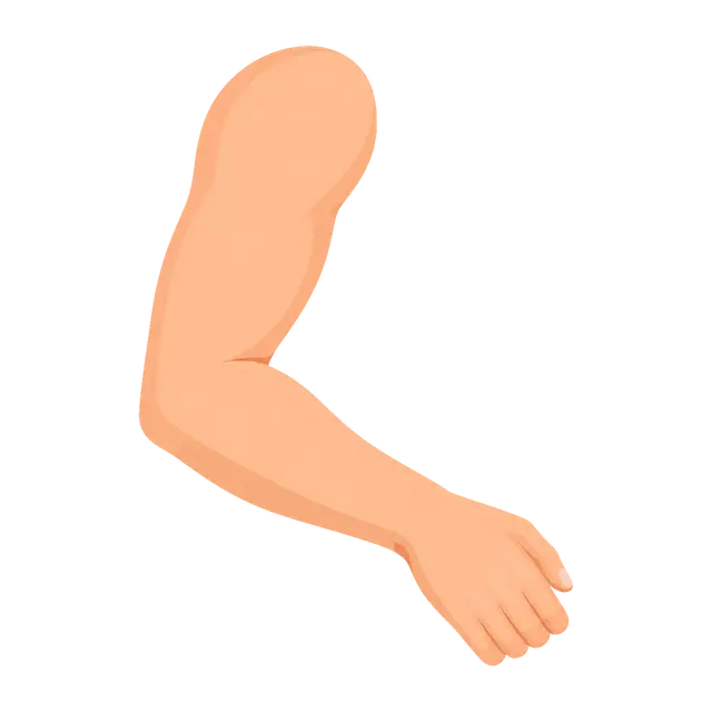 Illustration of a Bent Arm and Hand