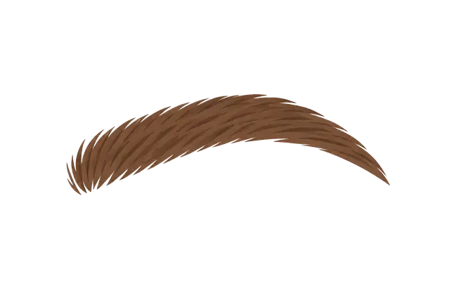 Stylized Brown Eyebrow