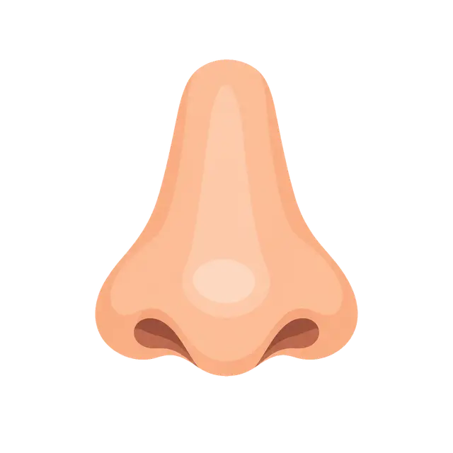 Cartoon Nose Illustration