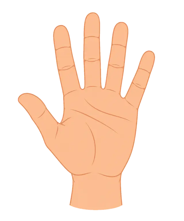 Open Hand Illustration